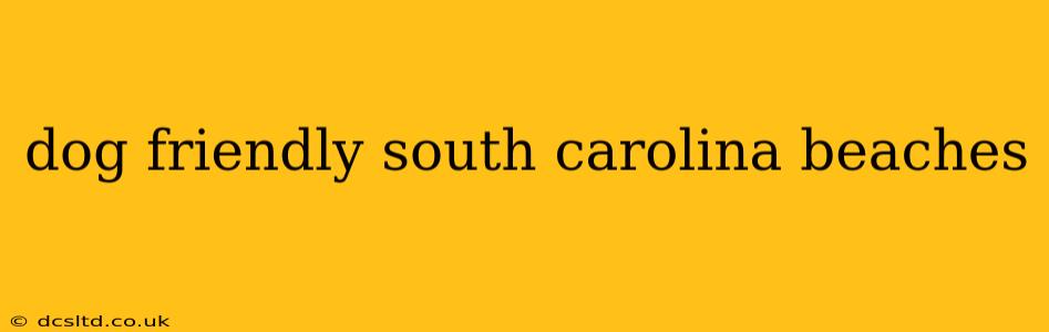 dog friendly south carolina beaches