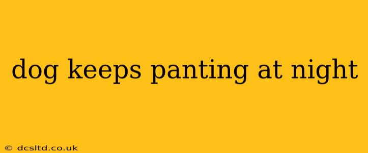 dog keeps panting at night