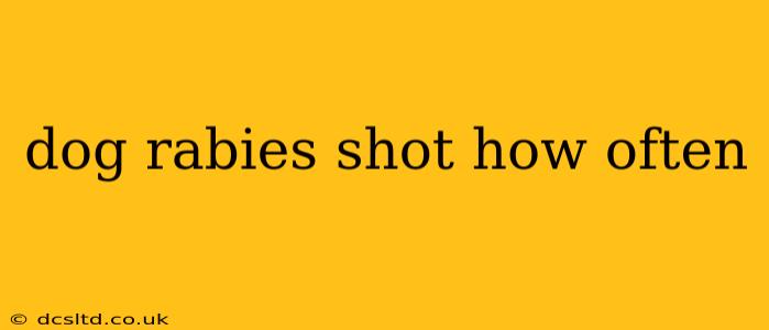 dog rabies shot how often