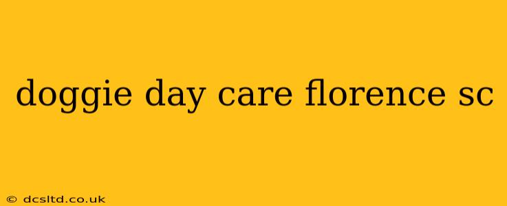 doggie day care florence sc