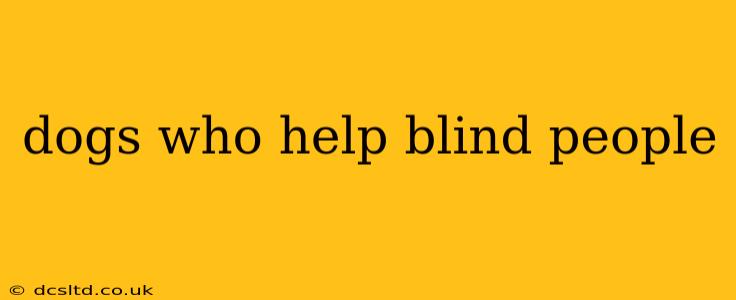 dogs who help blind people