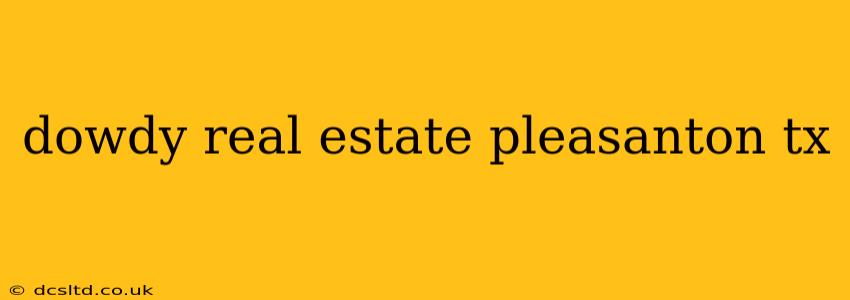 dowdy real estate pleasanton tx