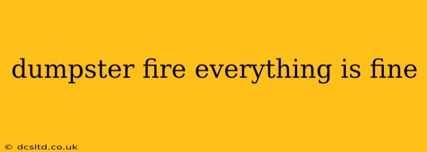 dumpster fire everything is fine