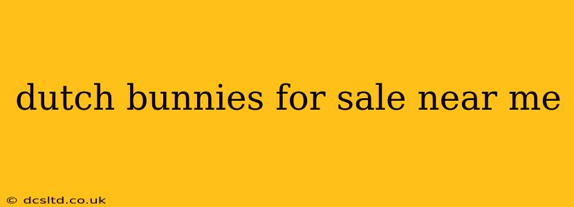 dutch bunnies for sale near me