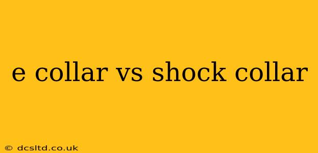 e collar vs shock collar