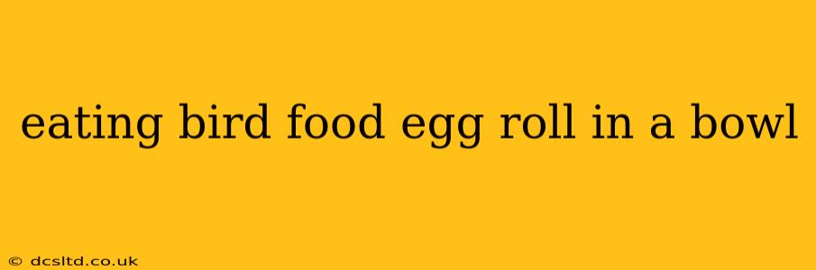 eating bird food egg roll in a bowl