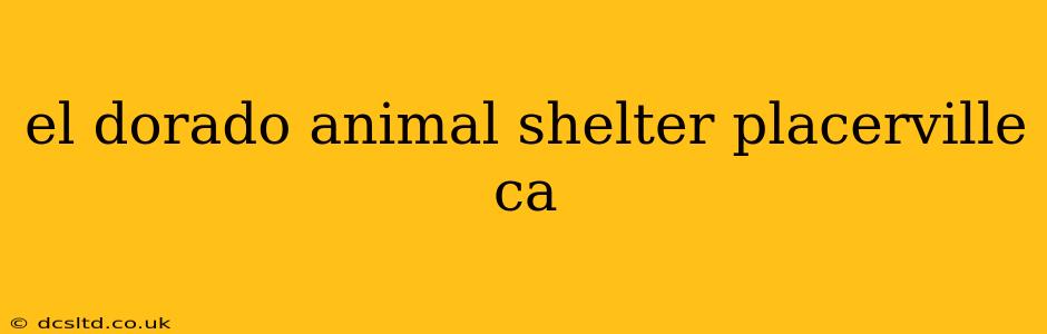 el dorado animal shelter placerville ca