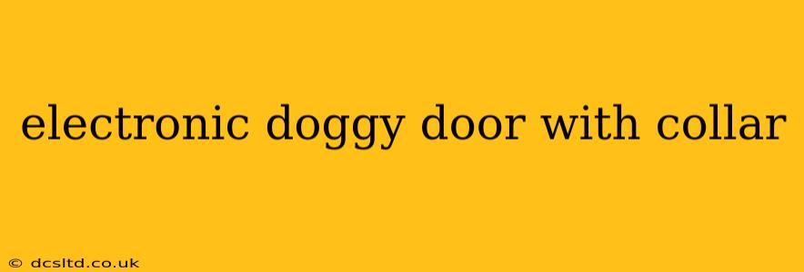 electronic doggy door with collar