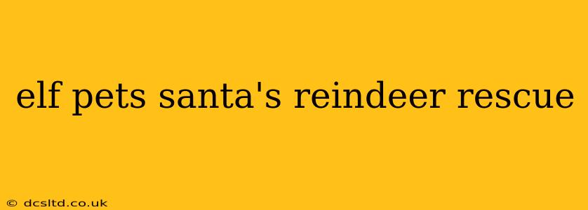 elf pets santa's reindeer rescue
