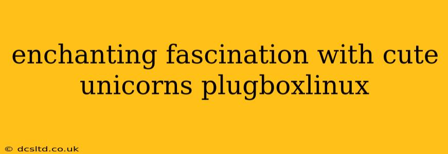 enchanting fascination with cute unicorns plugboxlinux