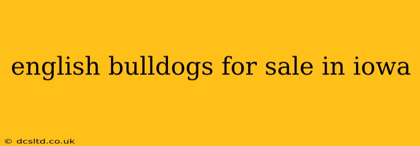 english bulldogs for sale in iowa