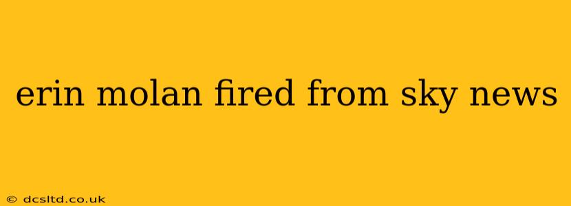 erin molan fired from sky news