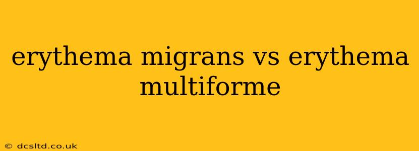 erythema migrans vs erythema multiforme