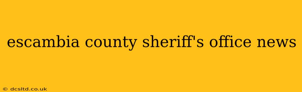 escambia county sheriff's office news