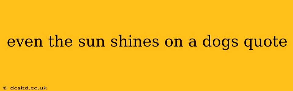 even the sun shines on a dogs quote