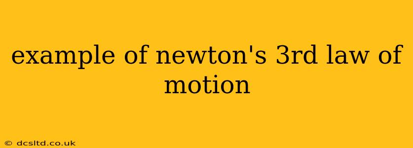example of newton's 3rd law of motion