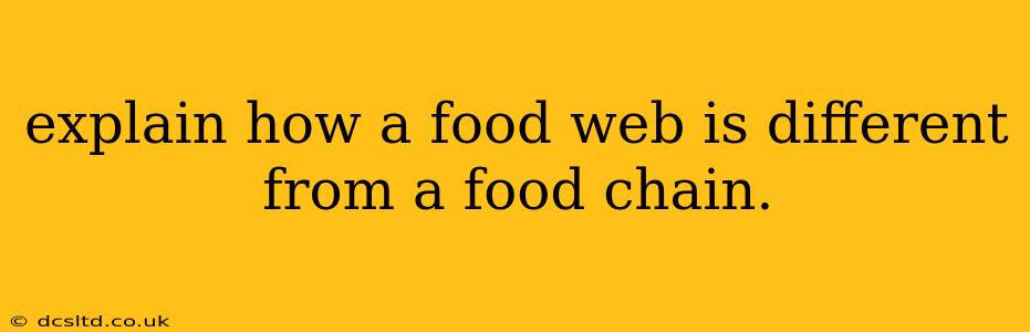 explain how a food web is different from a food chain.