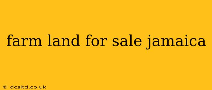farm land for sale jamaica