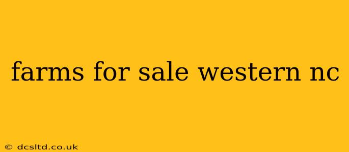 farms for sale western nc
