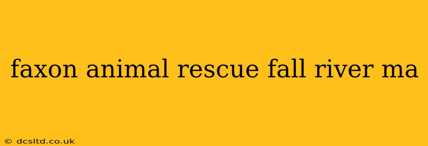 faxon animal rescue fall river ma