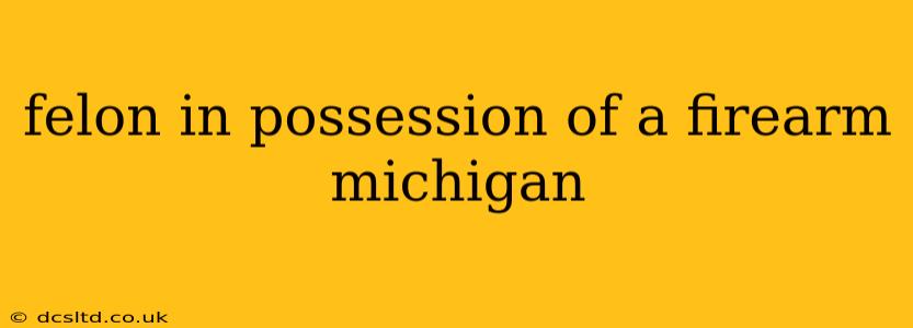 felon in possession of a firearm michigan