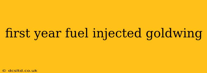 first year fuel injected goldwing
