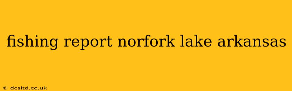 fishing report norfork lake arkansas