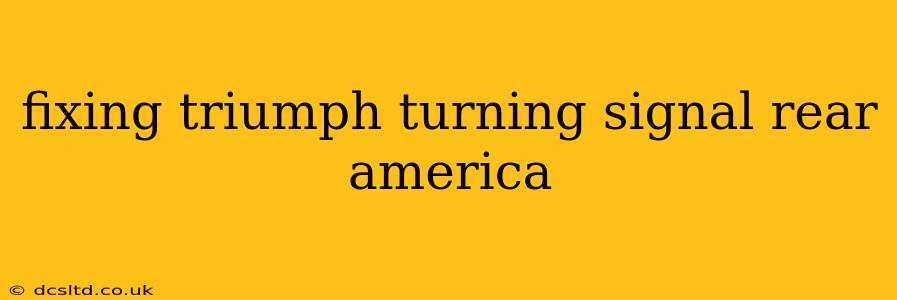 fixing triumph turning signal rear america