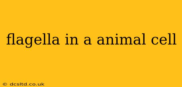 flagella in a animal cell