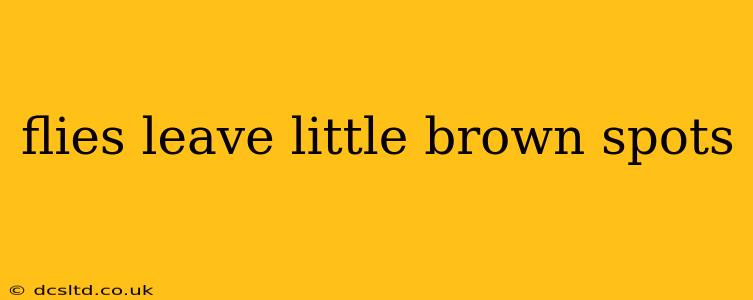flies leave little brown spots