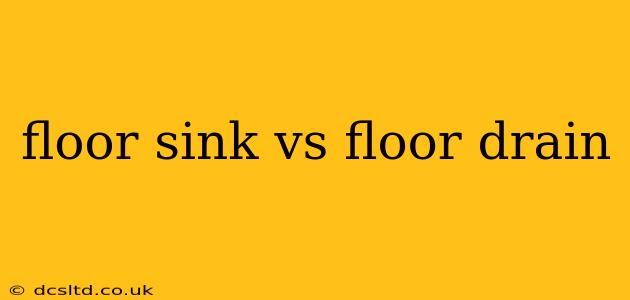 floor sink vs floor drain
