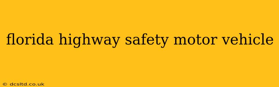florida highway safety motor vehicle