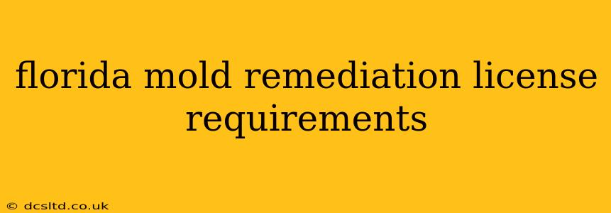 florida mold remediation license requirements