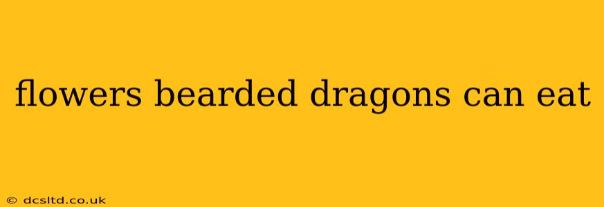 flowers bearded dragons can eat