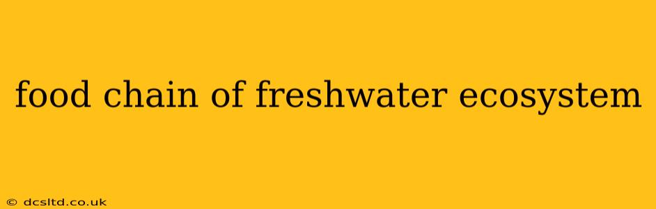 food chain of freshwater ecosystem