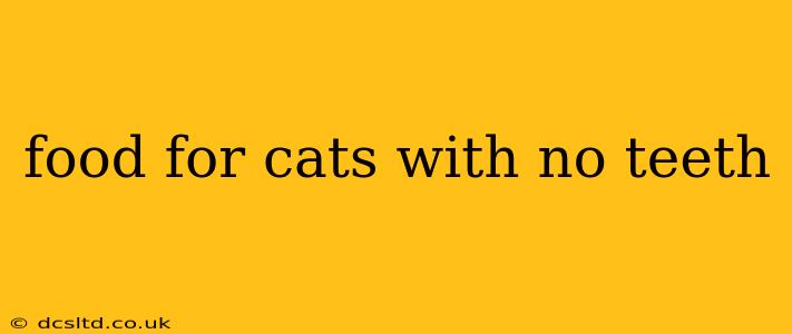 food for cats with no teeth