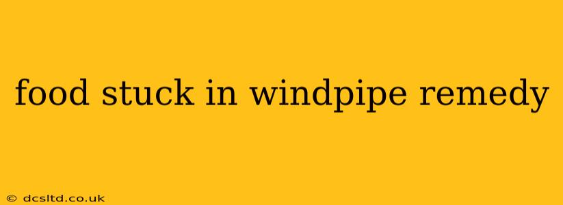 food stuck in windpipe remedy