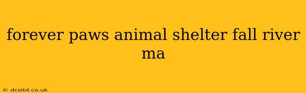 forever paws animal shelter fall river ma