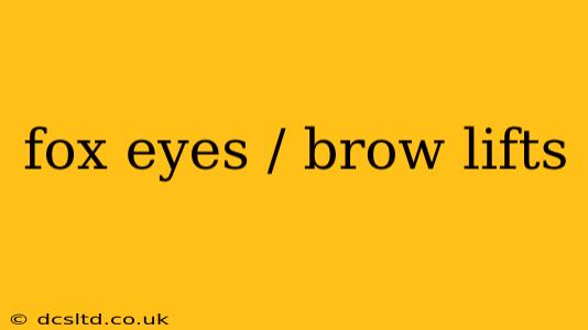 fox eyes / brow lifts