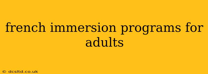 french immersion programs for adults
