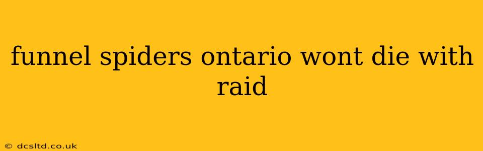 funnel spiders ontario wont die with raid