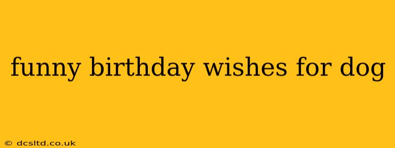 funny birthday wishes for dog