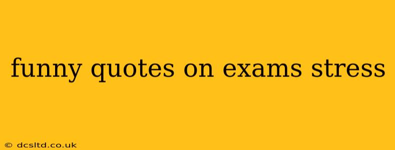 funny quotes on exams stress