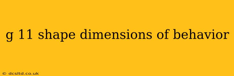 g 11 shape dimensions of behavior