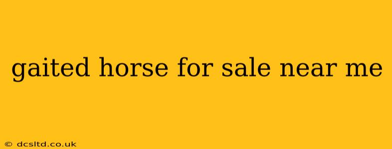 gaited horse for sale near me