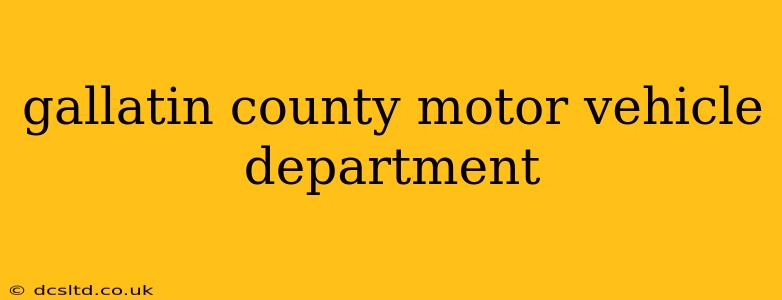 gallatin county motor vehicle department