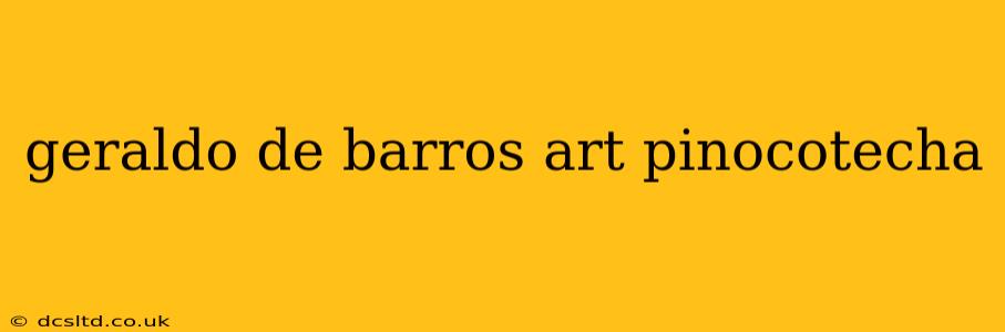 geraldo de barros art pinocotecha