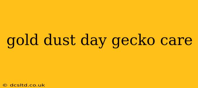 gold dust day gecko care