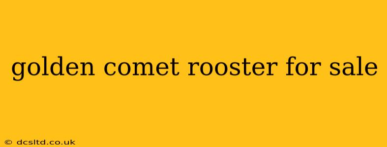 golden comet rooster for sale