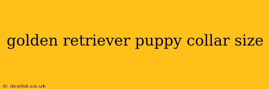 golden retriever puppy collar size